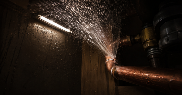 Plumbing Website Design: Why Emergency Call Buttons Win Jobs